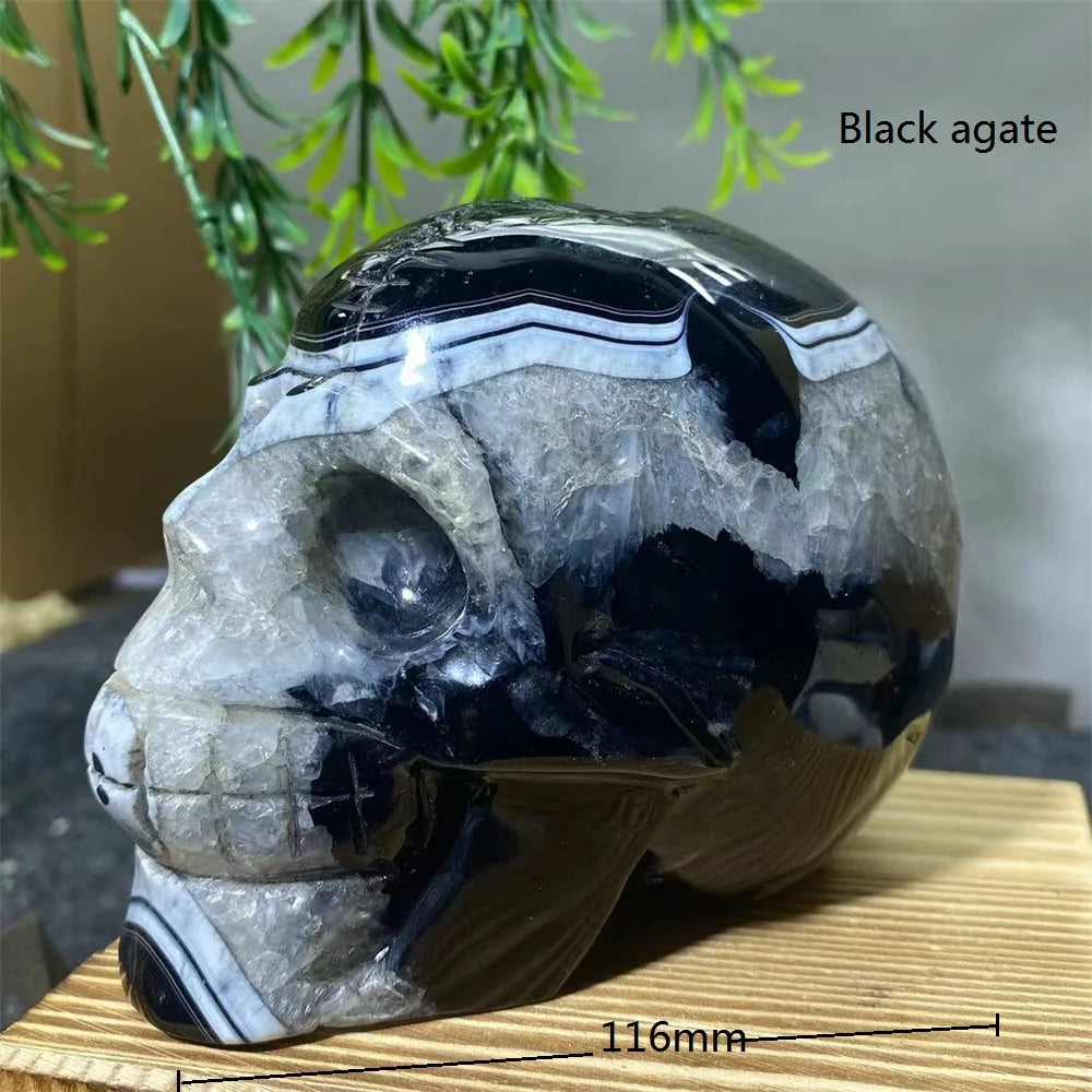 Mixed Crystal Skulls-ToShay.org