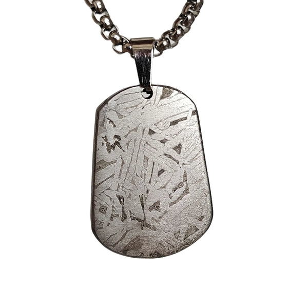 Iron Meteorite Pig Pendant-ToShay.org