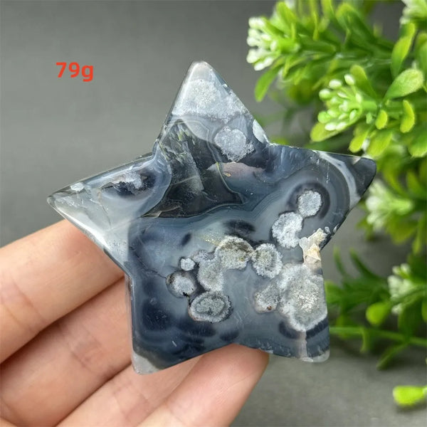 Black Cherry Blossom Agate-ToShay.org