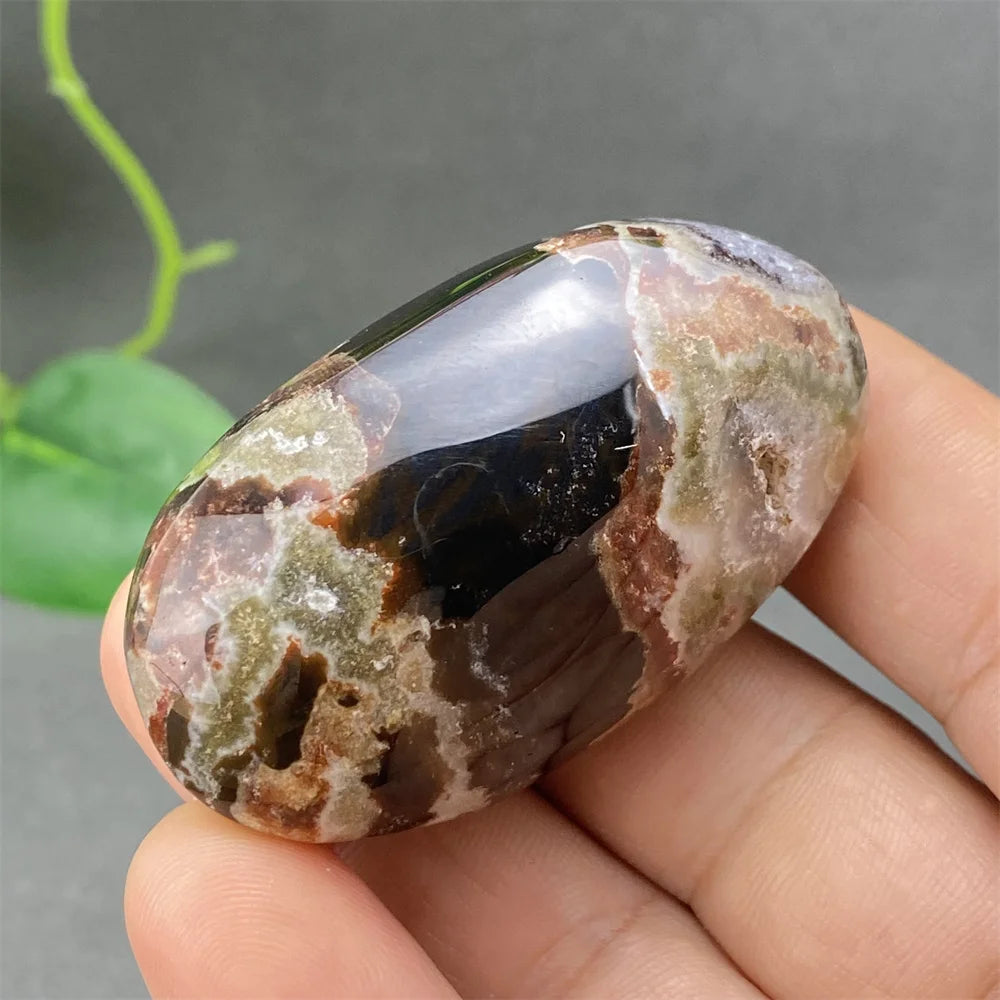 Red Lace Crazy Agate-ToShay.org