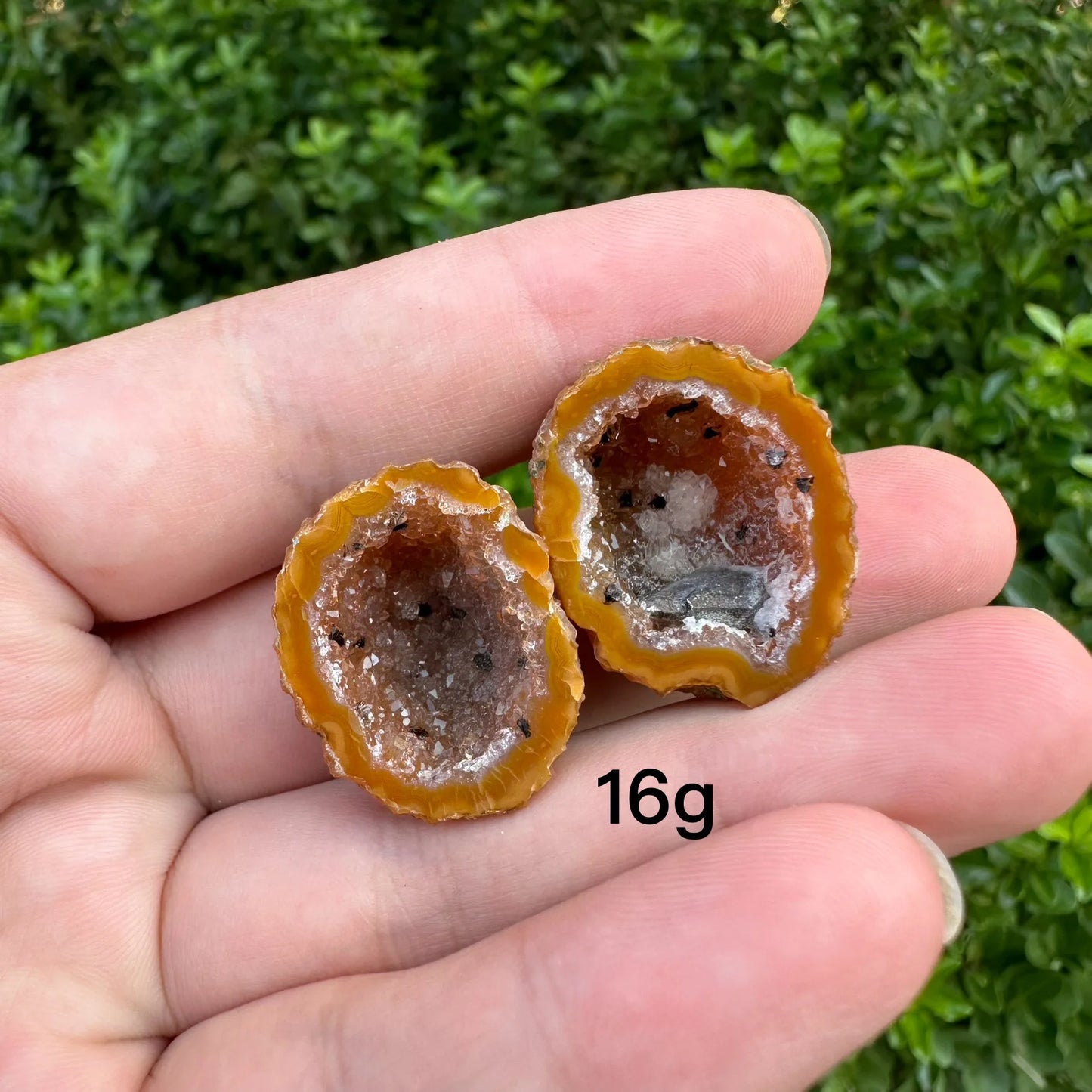 Mixed Agate Crystal Geode-ToShay.org