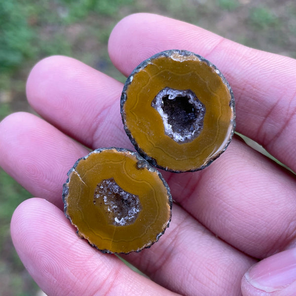 Mixed Agate Geode Egg-ToShay.org