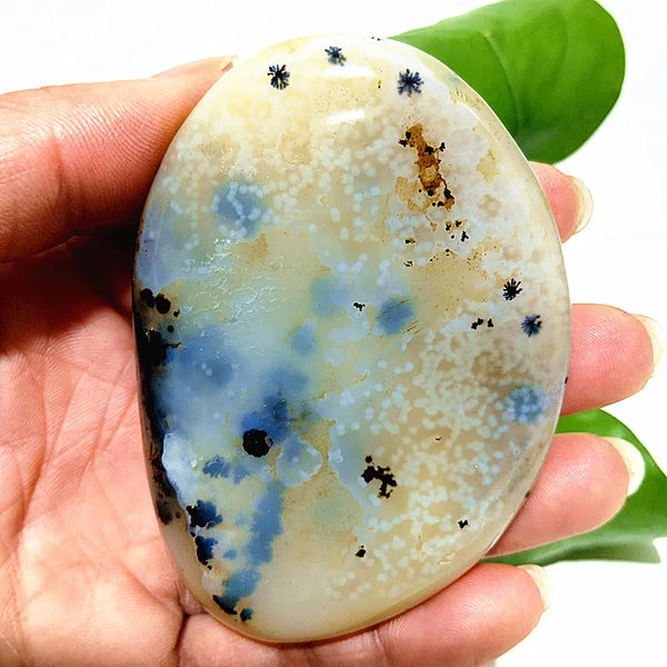 Yellow Blue Water Plant Agate-ToShay.org