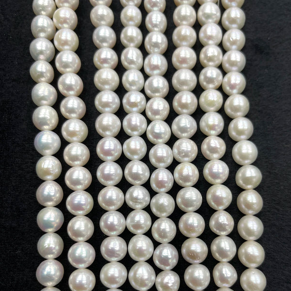 White Pearl Beads-ToShay.org
