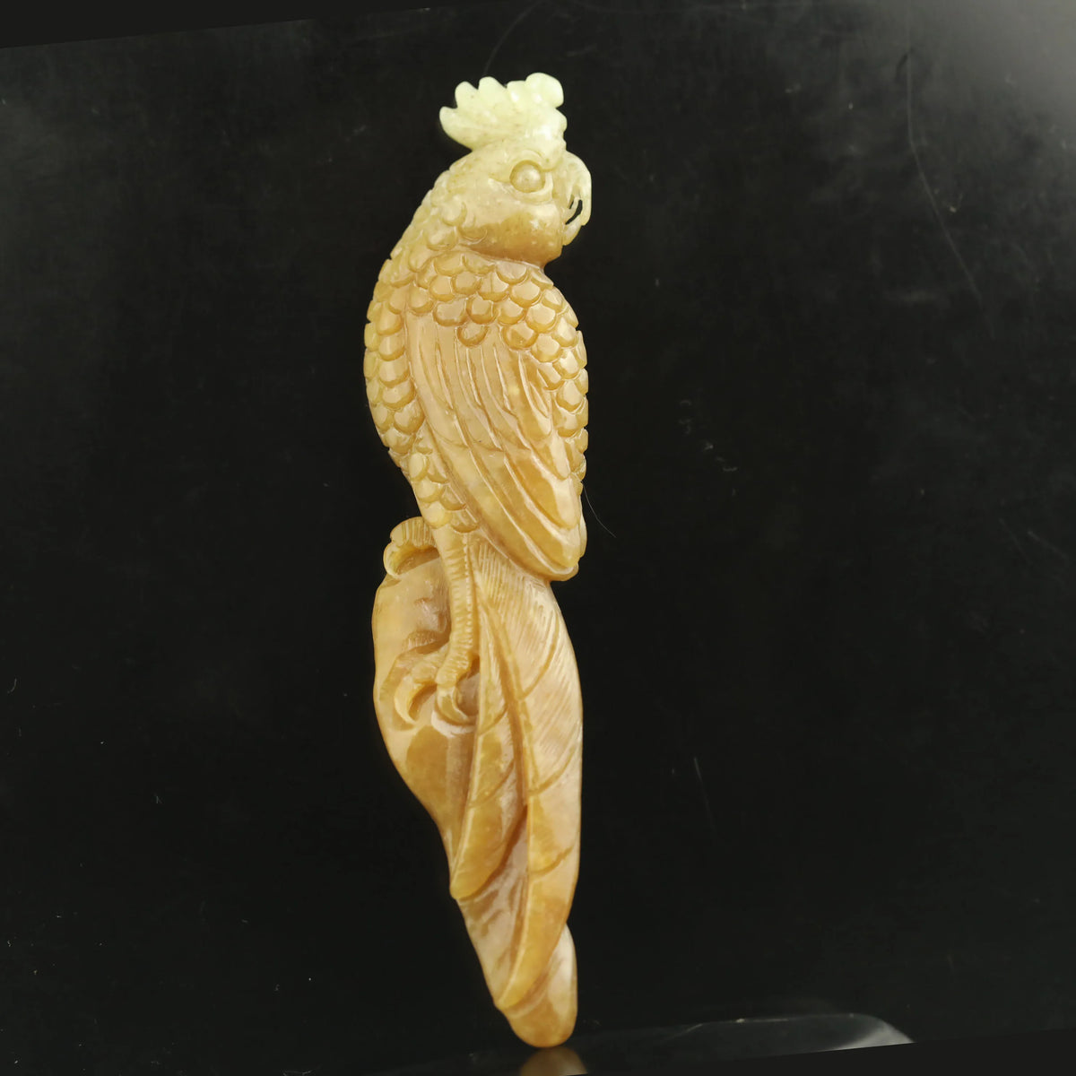 Yellow Jade Parrot-ToShay.org