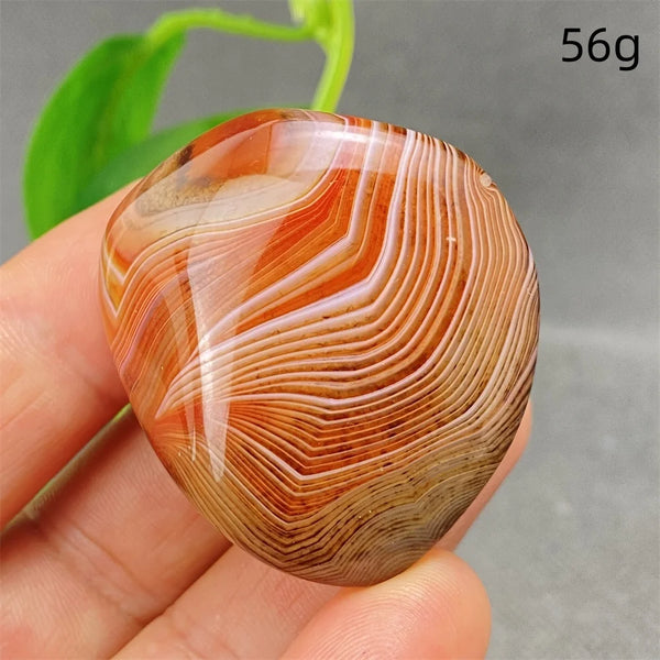 Orange Silk Lace Agate-ToShay.org