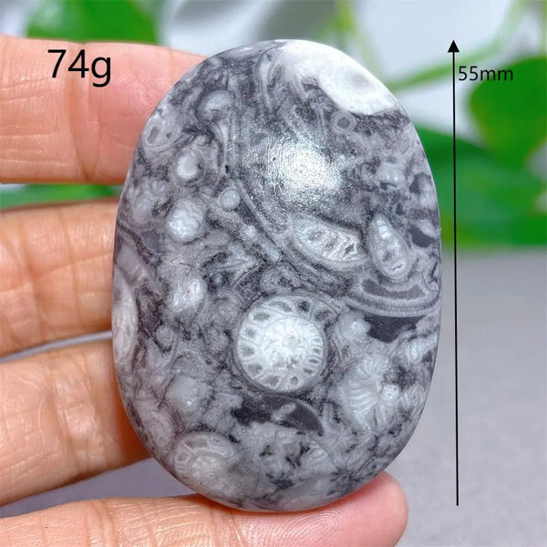 Black White Shellstone-ToShay.org