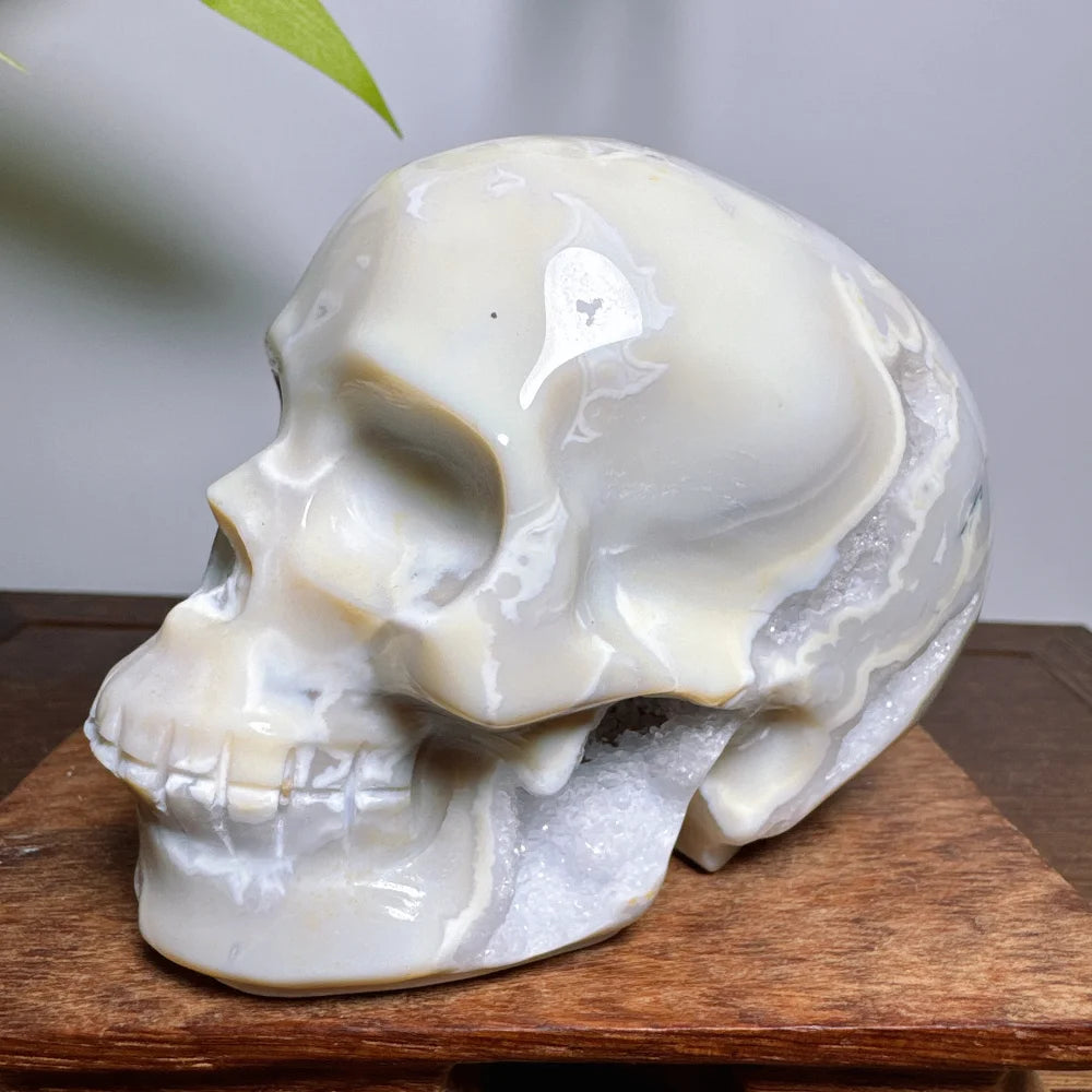 White Agate Geode Cranium Natural Stones Crystals Chakra Skulls Wicca Wichcraft Reiki Healing Gems Minerals Meditation Room-ToShay.org
