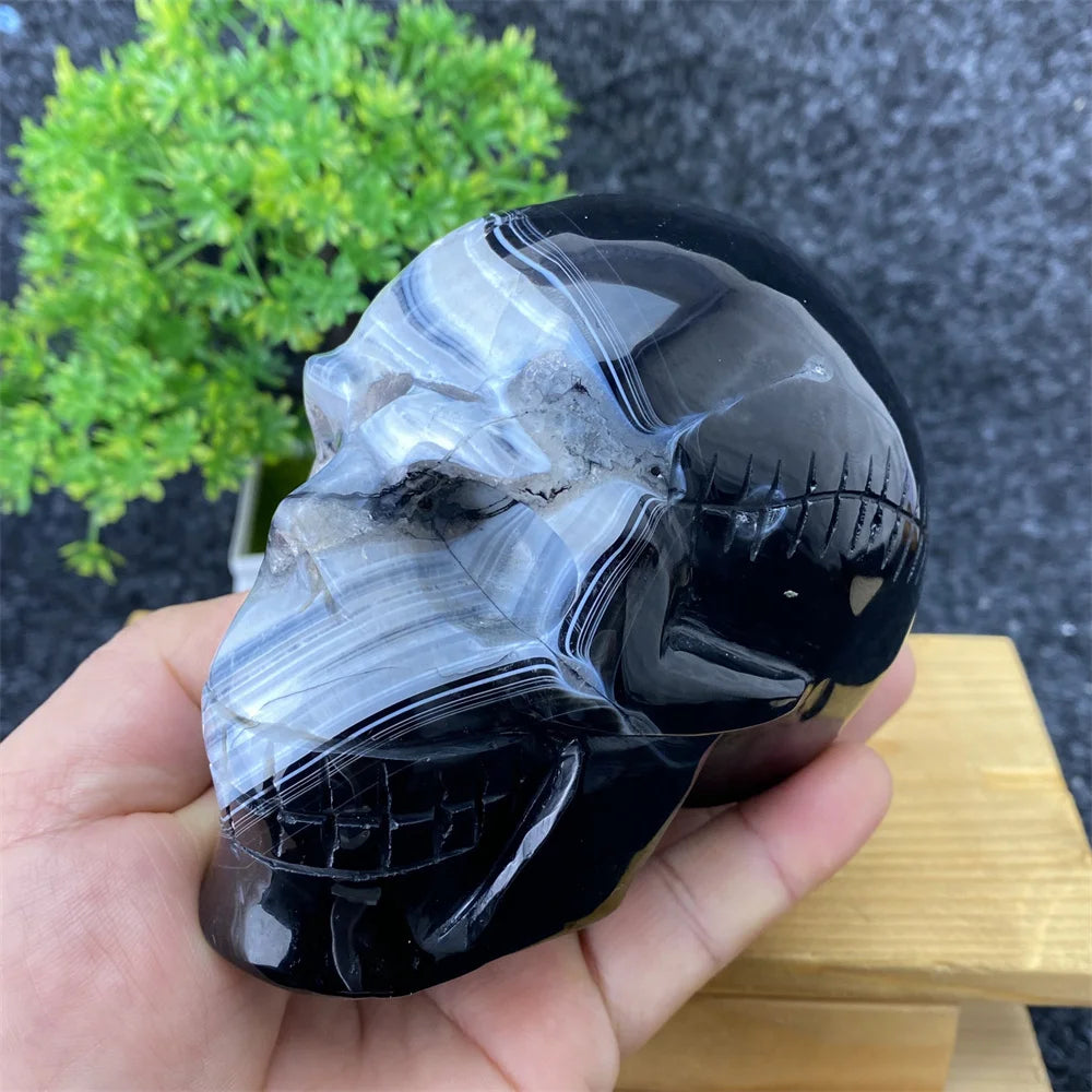 Black Agate Skull-ToShay.org