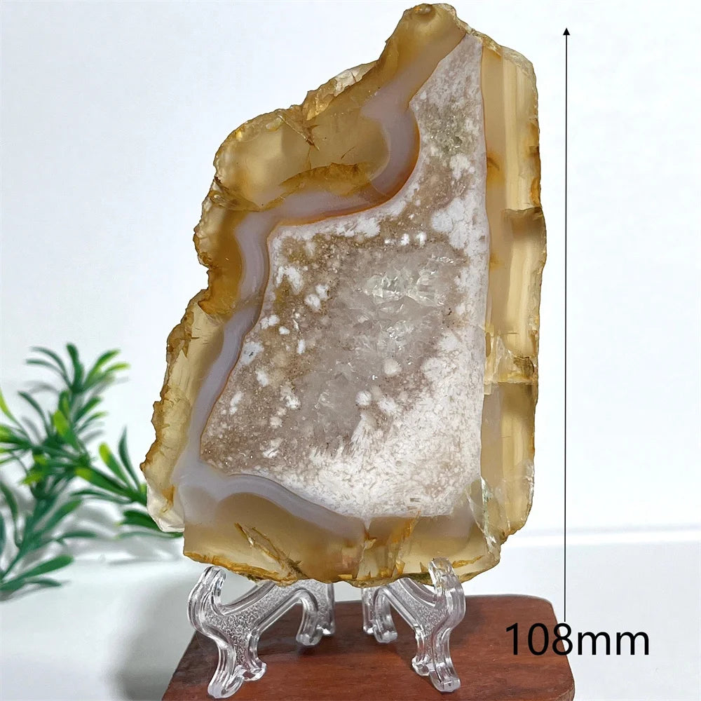 Pink Amethyst Flower Agate-ToShay.org