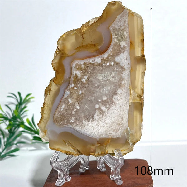 Pink Amethyst Flower Agate-ToShay.org