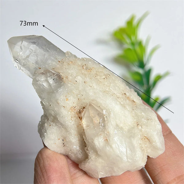 Clear Pineapple Quartz Cluster-ToShay.org