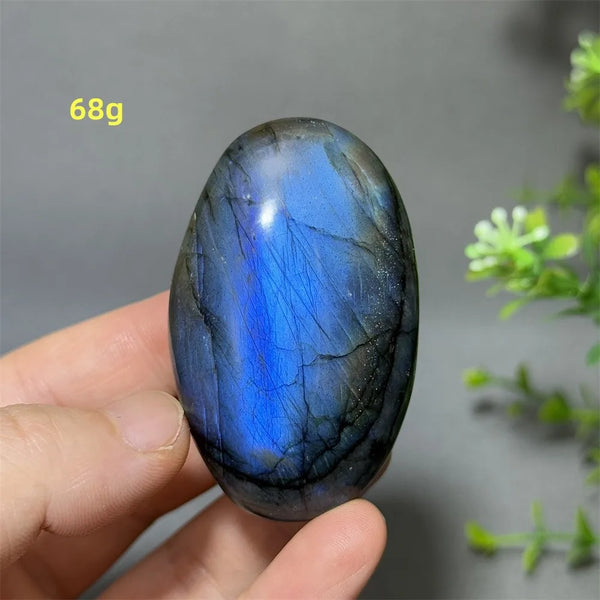 Blue Labrador Palm Stone-ToShay.org