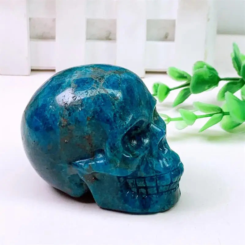 Blue Apatite Skull-ToShay.org