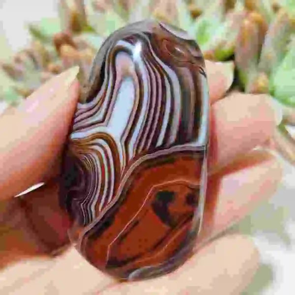 Red Sardonyx Lace Agate-ToShay.org