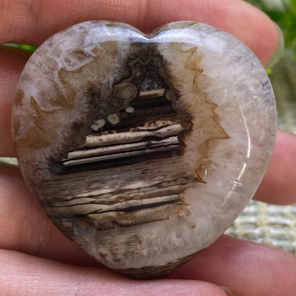 Black Agate Heart-ToShay.org