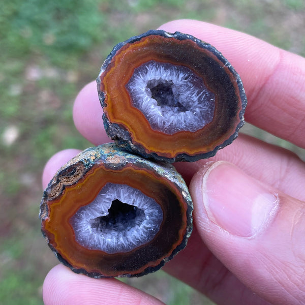 Mixed Agate Geode Egg-ToShay.org