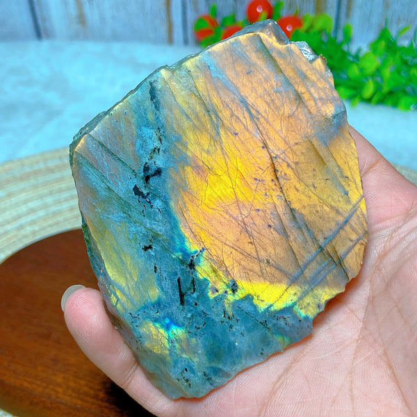 Purple Labradorite Slice-ToShay.org