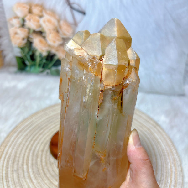 Clear Garden Quartz Crystal-ToShay.org