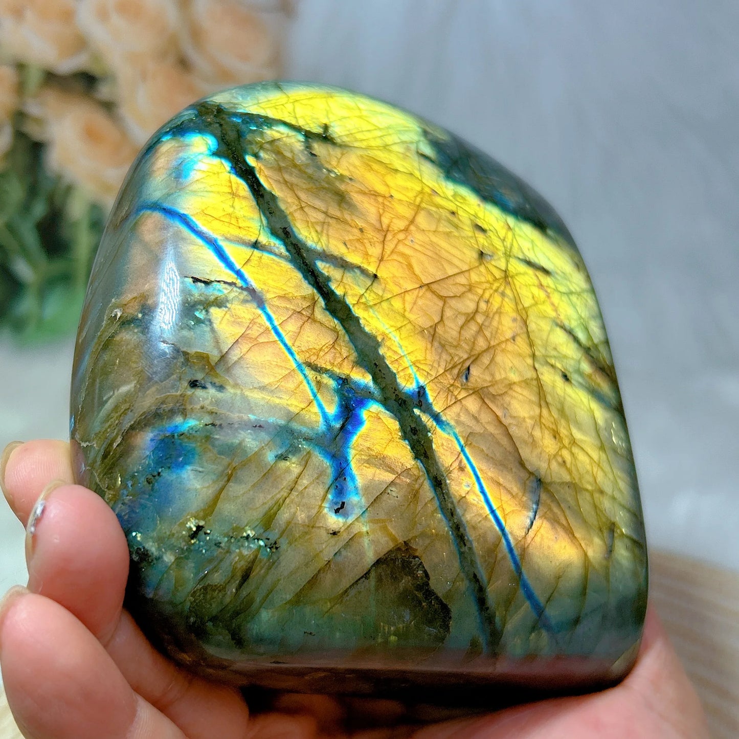 Gold Light Labradorite-ToShay.org