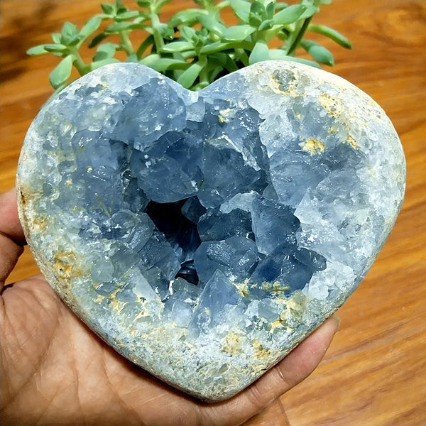 Blue Celestite Geode Crystal-ToShay.org