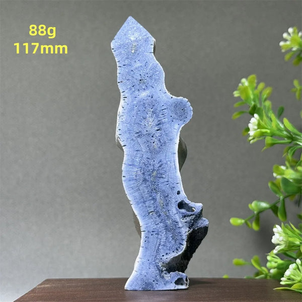 Blue Coral Crystal-ToShay.org