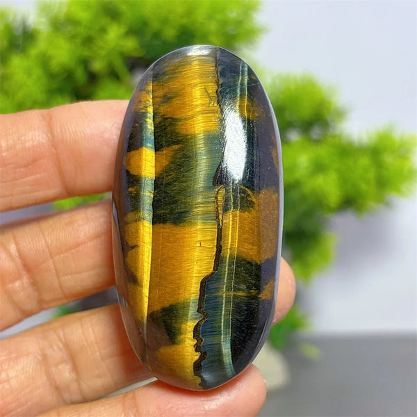 Blue Yellow Tiger Eye Stone-ToShay.org
