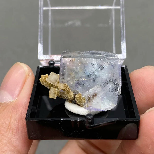 Purple Fluorite Crystal-ToShay.org