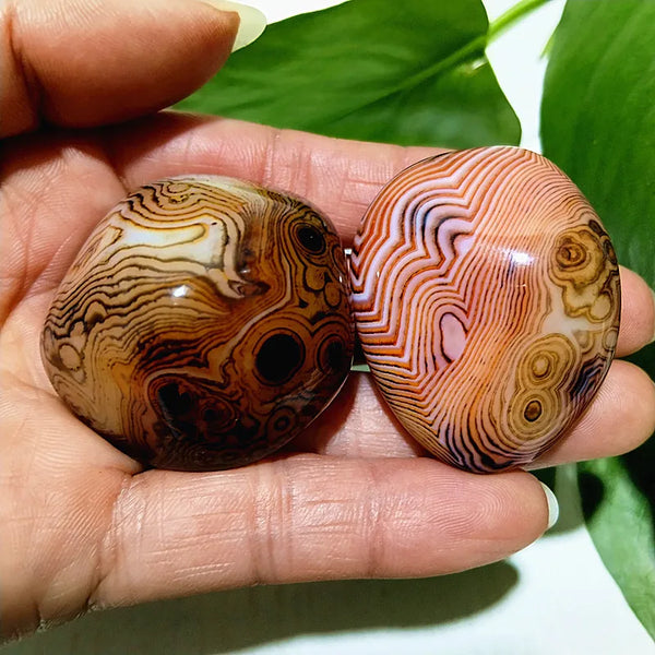 Red Lace Sardonyx Palm Stones-ToShay.org