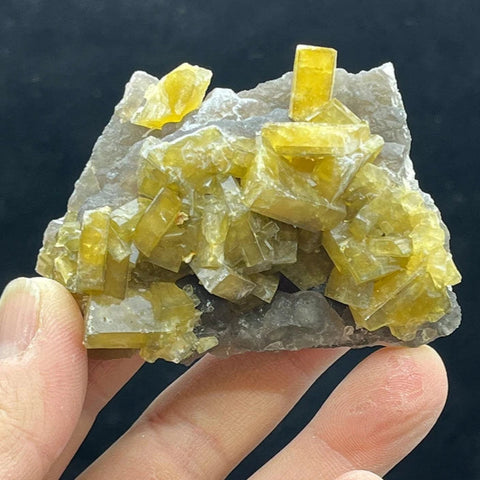 Yellow Diluent Cluster-ToShay.org