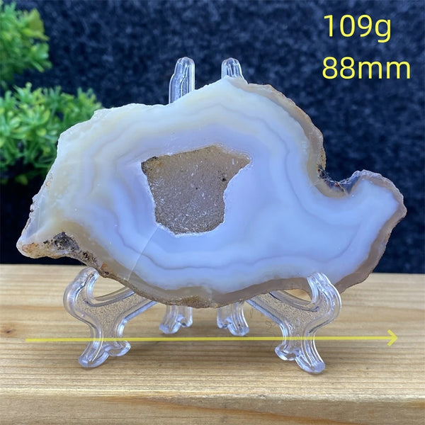 White Agate Geode Slices-ToShay.org