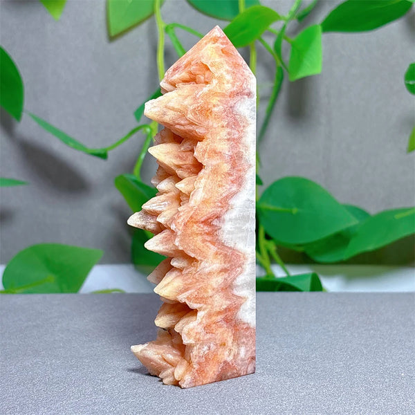 Orange Agate Tooth Cluster Point-ToShay.org