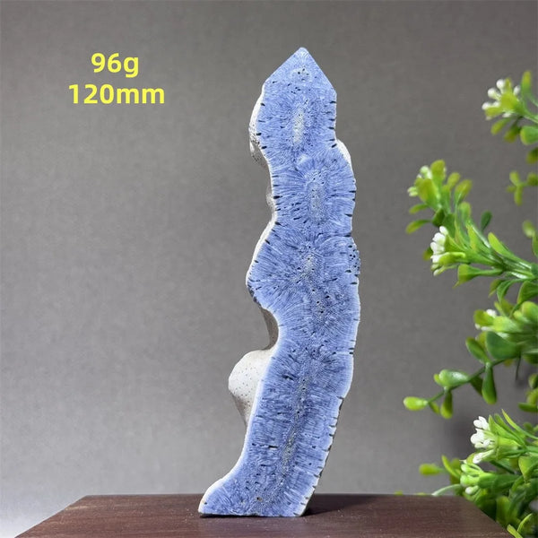 Blue Coral Crystal-ToShay.org
