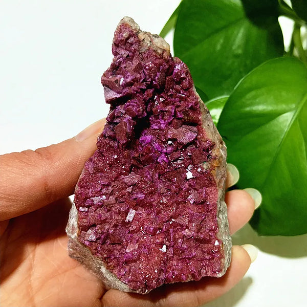 Pink Cobaltocalcite Raw Rock-ToShay.org
