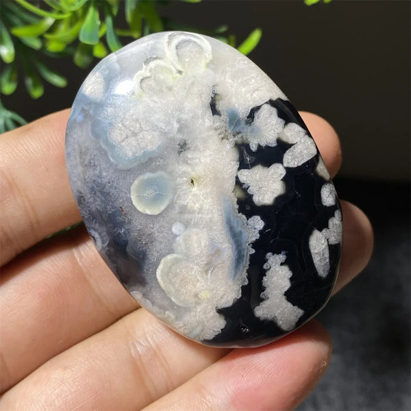 Black Flower Agate-ToShay.org