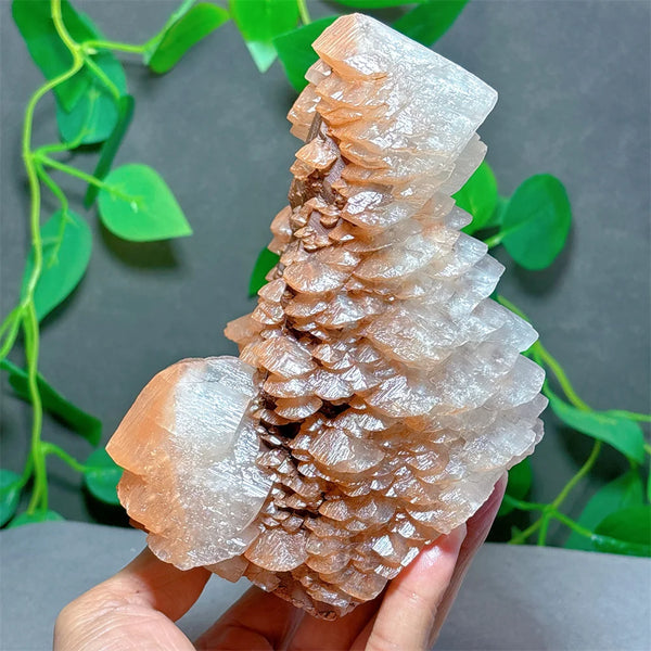 White Melaleuca Calcite Quartz-ToShay.org