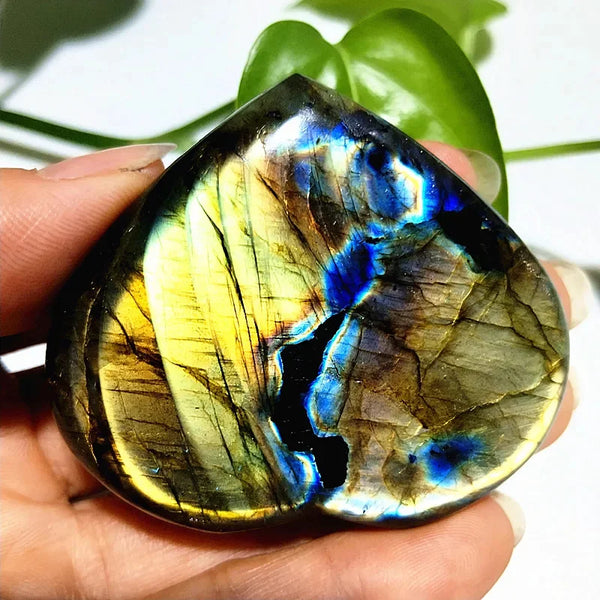 Blue Labrador Heart-ToShay.org