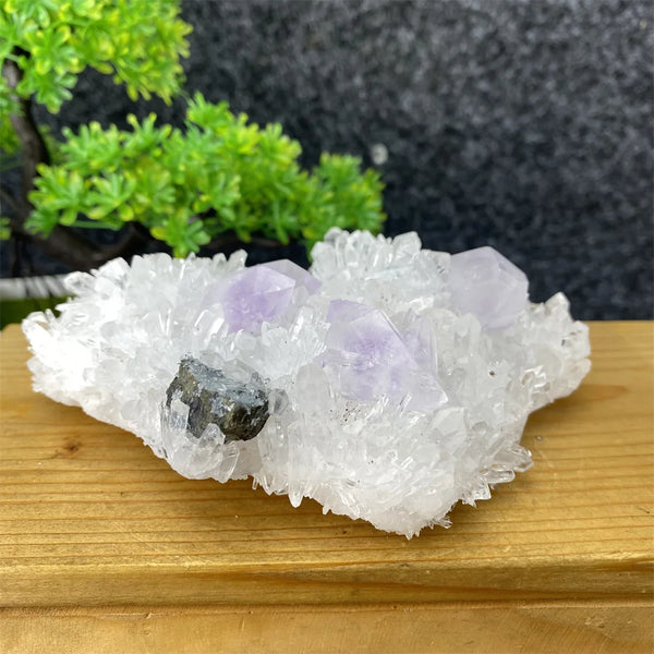 White Crystal Quartz-ToShay.org