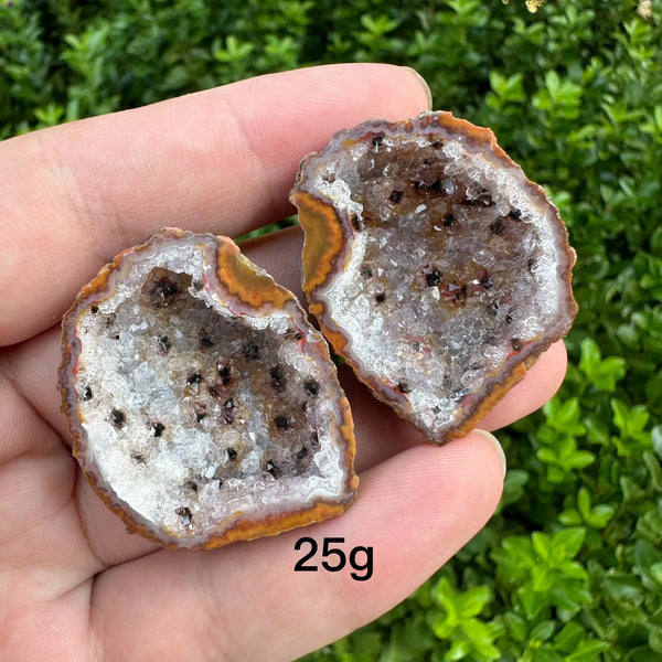 Mixed Agate Crystal Geode-ToShay.org