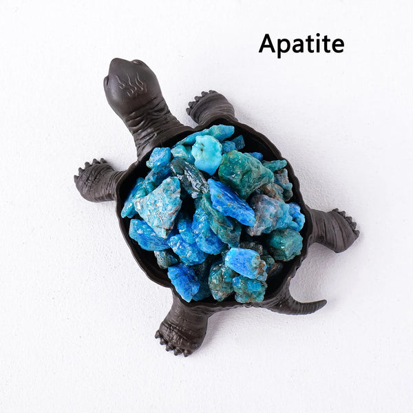 Mixed Crystal Turtles-ToShay.org