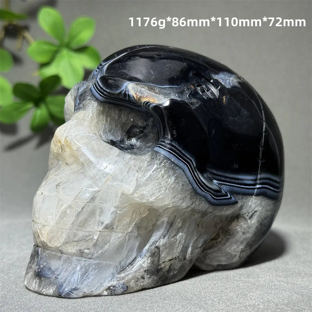Black Agate Skull-ToShay.org
