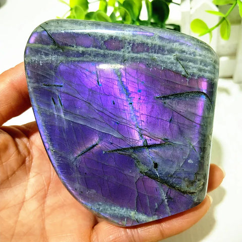 Violet Labradorite Crystal-ToShay.org