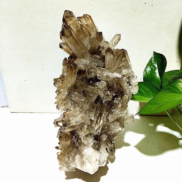 White Quartz Crystal-ToShay.org