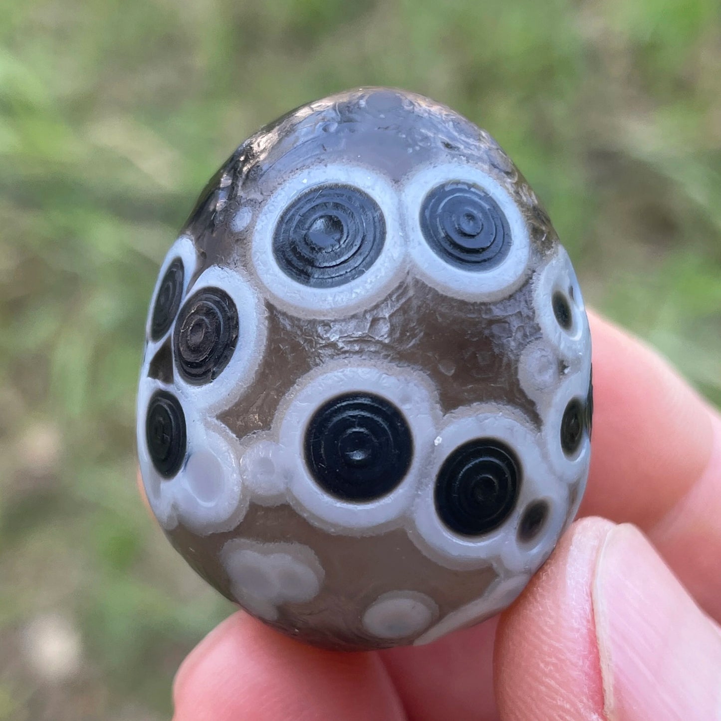 Black Agate Alxa Gobi Eye-ToShay.org