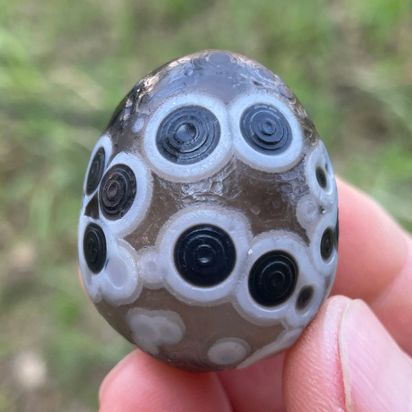 Black Agate Alxa Gobi Eye-ToShay.org