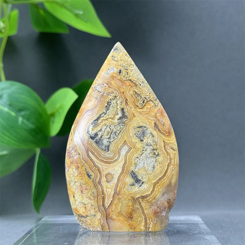 Yellow Crazy Agate Torch-ToShay.org