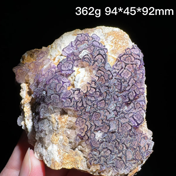 Purple Edge Fluorite-ToShay.org