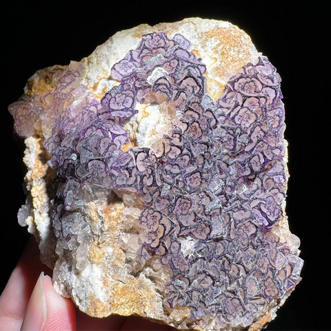 Purple Fluorite Crystal-ToShay.org