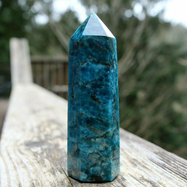 Blue Apatite Point-ToShay.org
