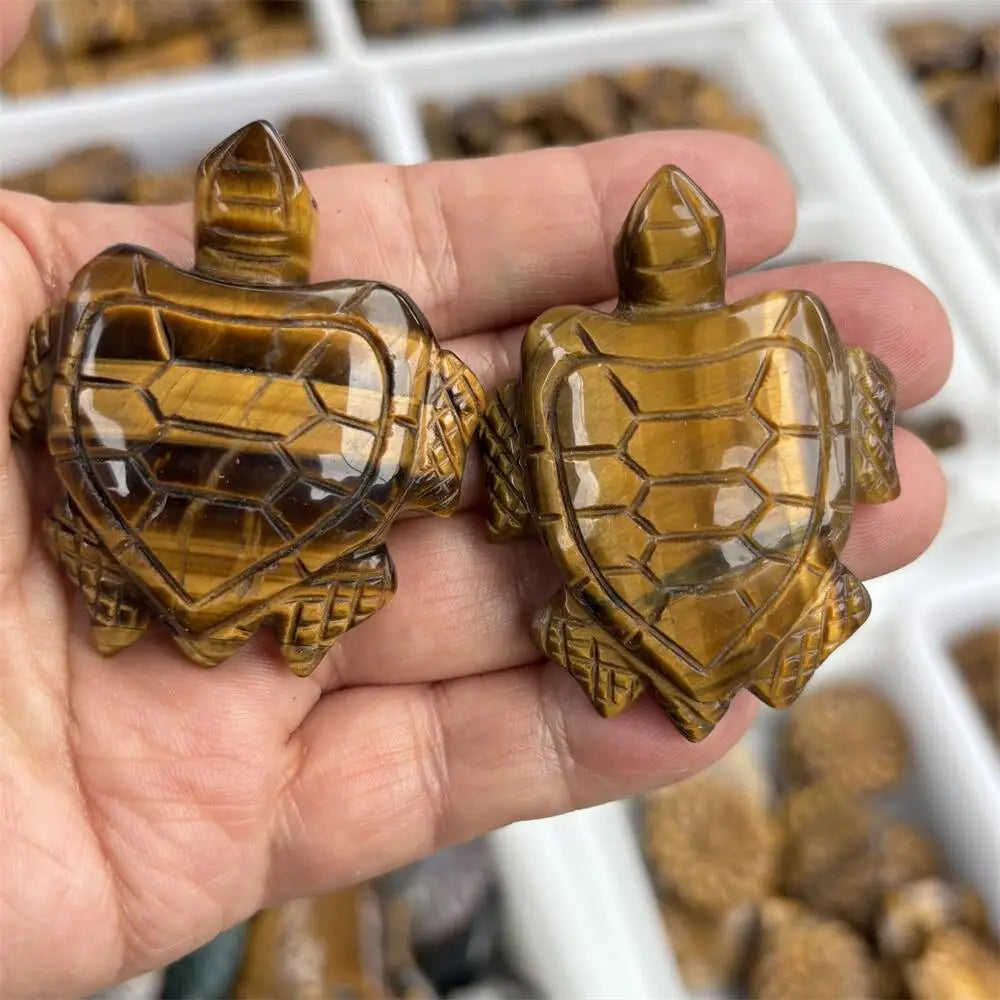 Yellow Tiger Eye Turtle-ToShay.org